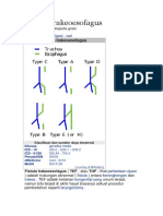 Fistula Trakeoesofagus