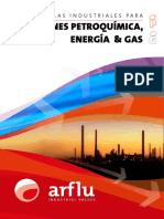 Arflu Divisiones Petroquimica Energia Gas
