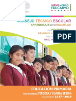 GUIA Primaria3y4sesion_CTE.pdf