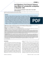 Astragalus Root and Elderberry Fruit Extracts Enhance the IFN-β Stimulatory Effects of Lactobacillus acidophilus in Murine-Derived Dendritic Cells.pdf