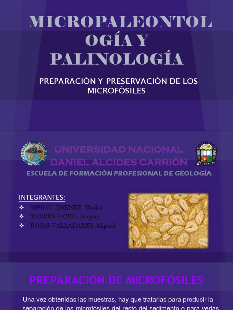 Preparacion y Preservacion de Microfosiles | PDF | Fósil | Roca (geología)