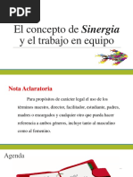 El Concepto de Sinergia y El Trabajo en Equipo Ok