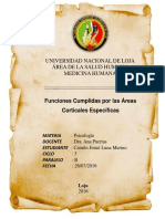 Funciones Cumplidas Por Las Áreas Corticales Específicas