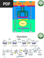 LBYBION 2nd Post Lab Discussion