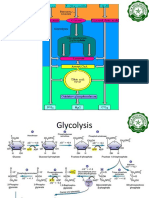 LBYBION 2nd Post Lab Discussion