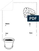 What Plants Need Worksheet