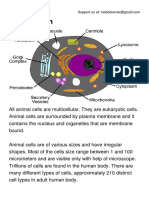 343648590-Animal-Cell-pdf.pdf