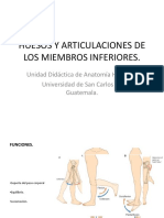 Huesos y Articulaciones de Los Miembros Inferiores (2)
