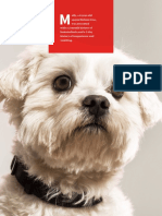 MYD - Hematochezia in A Dog