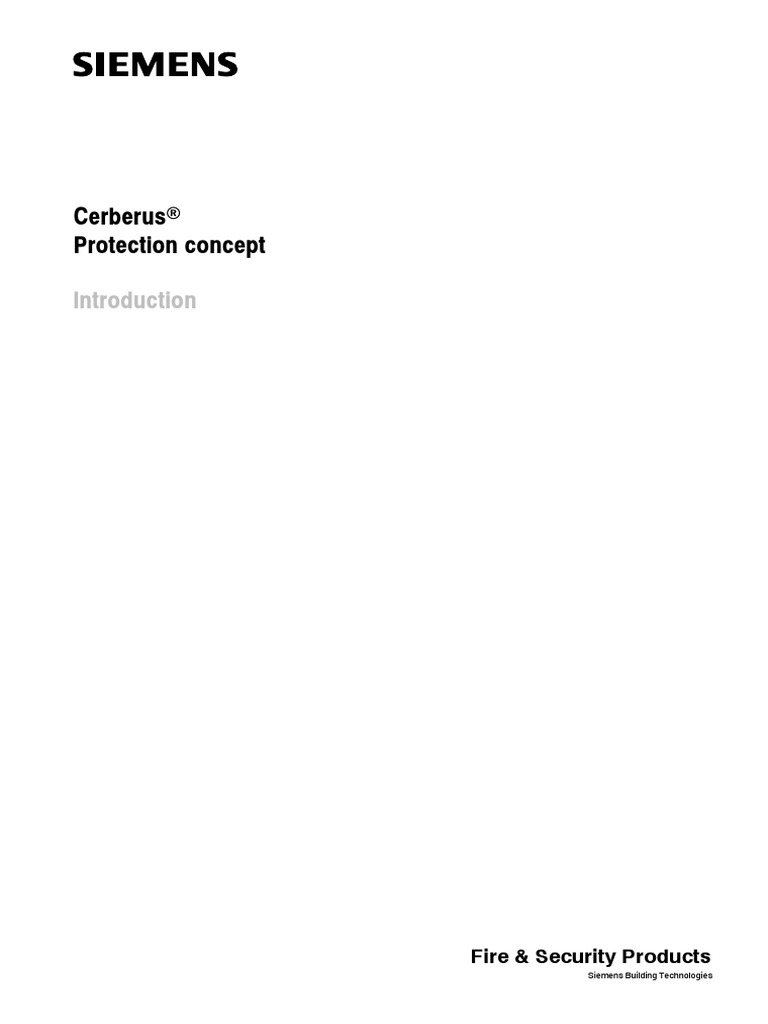 Cerberus Protection Concept | PDF | Risk | Risk Management