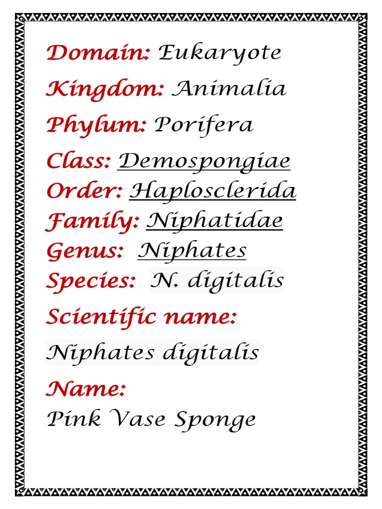 Domain Kingdom Phylum Class Order Family Genus Species