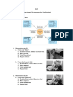 Teknik Proprioseptive Neuromuscular Fasilitation