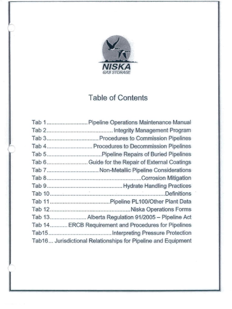 Pipeline Operations and Maintenance Manual PDF | PDF