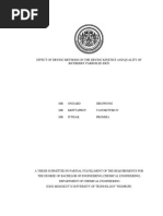 Senior Project Riceberry