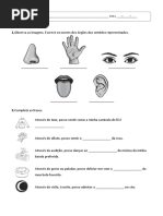 TOP - estudo do meio 2ºano Avaliação Trimestral