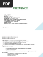 Proiect Did. Cazurile Si Functiile Substantivului