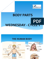 Cycle 1 Day 3 - Body Parts