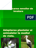 Identificarea Nevoilor de Invatare.ppt_lili