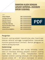 Asuhan Keperawatan Klien Dengan Gangguan Kelenjar Adrenal (