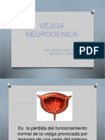 Vejiga Neurogenica