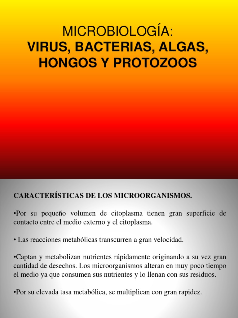 Características y Tipos de Microorganismos | PDF | Virus | Las bacterias