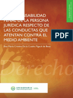 Responsabilidad Penal Ebook