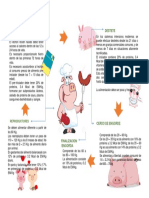Alimentación cerdos.pdf