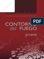 Contorno Del Fuego