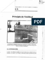 Principios de Similitud PDF
