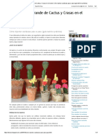 La Página Más Grande de Cactus y Crasas en El Mundo - Cómo Injertar Cactáceas Paso A Paso (Guía Teórico-Práctica)