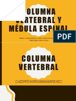 Columna Vertebral y Médula Espinal