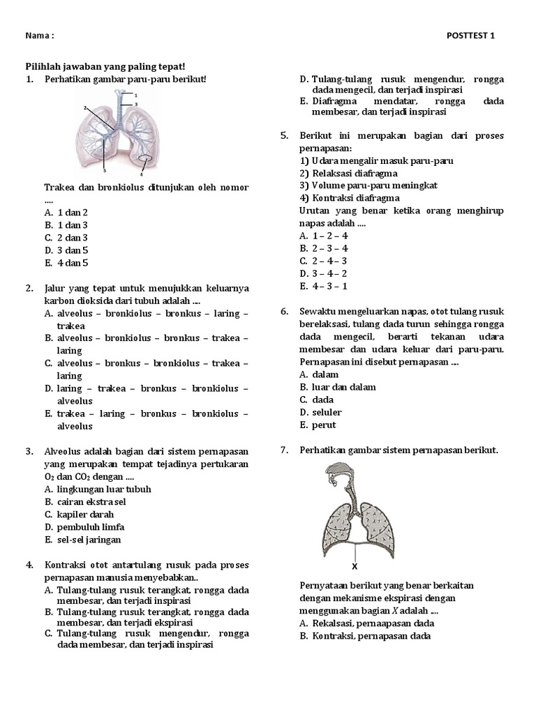 Soal C4 Materi Gangguan Pernapasan Pada Manusia