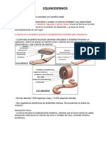 EQUINODERMOS