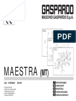 Spare Parts Maestra-Mt 2010-02 (g19530524)