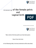 Anatomy of The Female Pelvis and Vaginal Birth