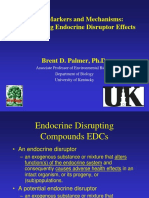 Understanding Endocrines Disruption