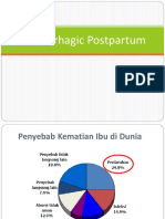 HPP For DR - MH