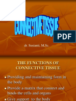 Connective Tissue Ss NEW