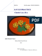 Abilitati practice cls I si a II-a.pdf