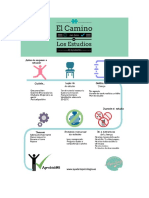 Camino Al Exito Infografia