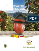 1 Brochure Alto Adige La Terra Delle Mele