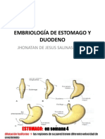 Embriología Estomago y Duo. Jhonatan