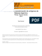 Tesis BABESIA BOVIS - BIGEMINA PDF