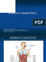 digestivo 1 - crecentino