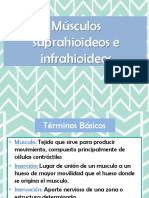 Musculos Suprahioideos e Infrahioideos