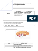 ANATOMIA