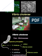 Vibrio.pdf