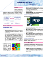 Ficha Factores Psicosociales 2