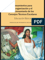 16- LINEAMIENTOS CTE-BÁSICA.pdf