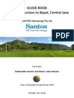 Guide Book of Geological Excursion to Bayat - Santos.pdf